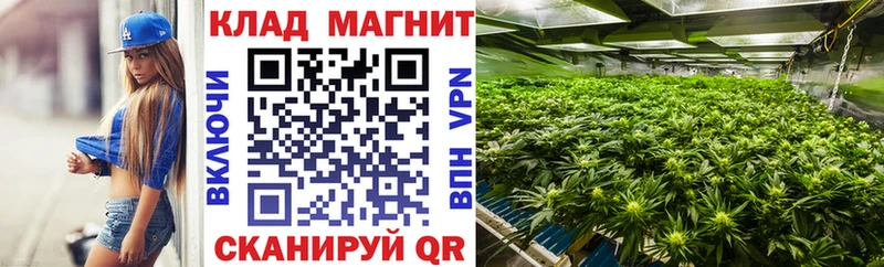 Где найти наркотики Новохопёрск Cocaine  МАРИХУАНА  Меф мяу мяу  Гашиш 