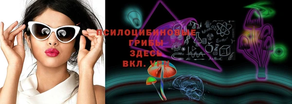 PSILOCYBIN Балахна