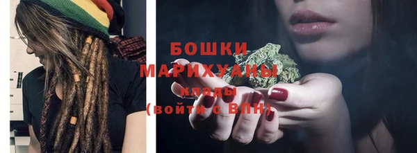 PSILOCYBIN Балахна