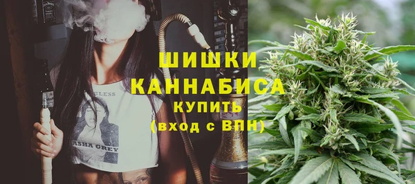 PSILOCYBIN Балахна