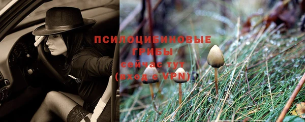 jwh Армянск