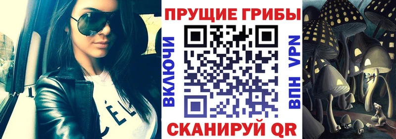 Галлюциногенные грибы Cubensis  наркота  Новохопёрск 